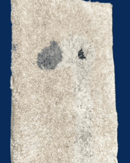 Carpet 19